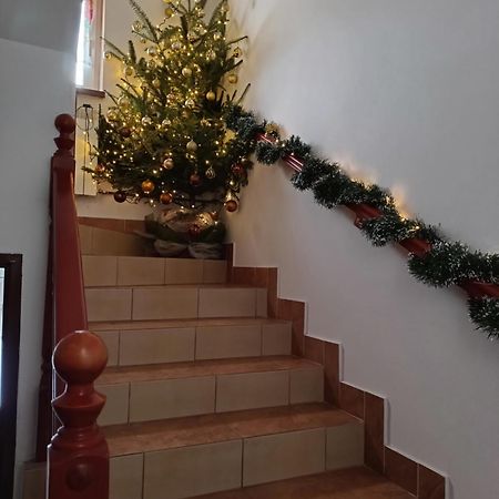 Noclegi U Brody Hoczew ภายนอก รูปภาพ