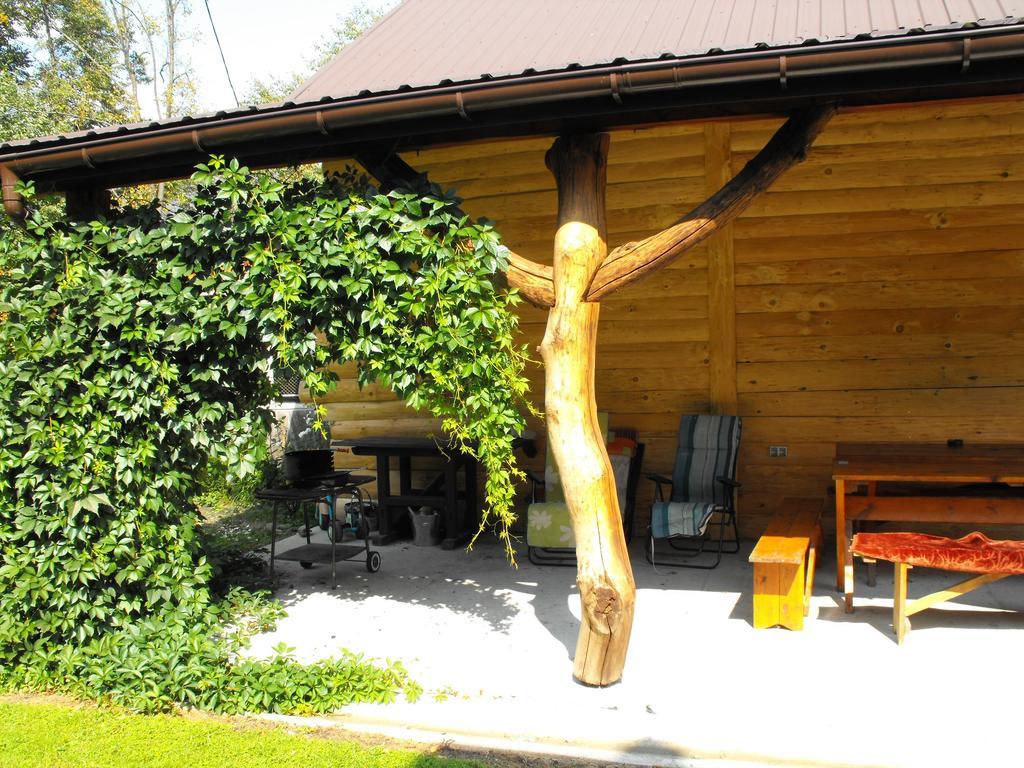 Noclegi U Brody Hoczew ภายนอก รูปภาพ